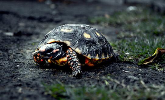 QQ截图20160811163752