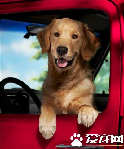 周末了，美女一起出去兜兜风么？