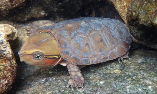 QQ截图20160811173832