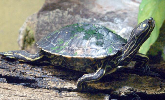 QQ截图20160812170405