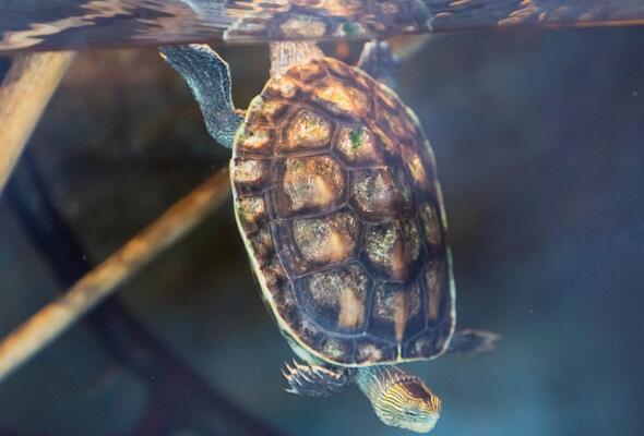 QQ截图20160812163913