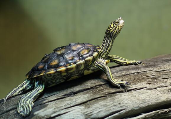 QQ截图20160812170421