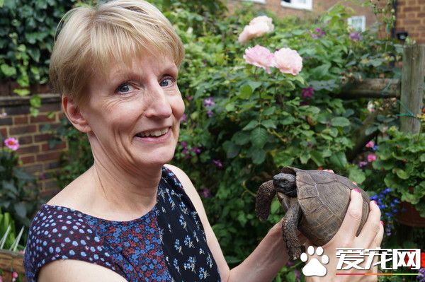 40年爱龟搭垃圾车进焚化厂 女主急翻千包垃圾救它