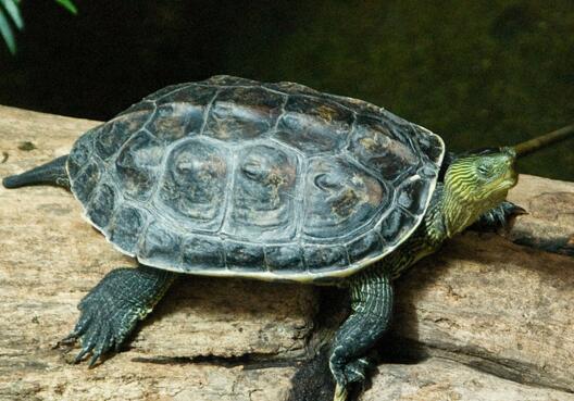 QQ截图20160812163908