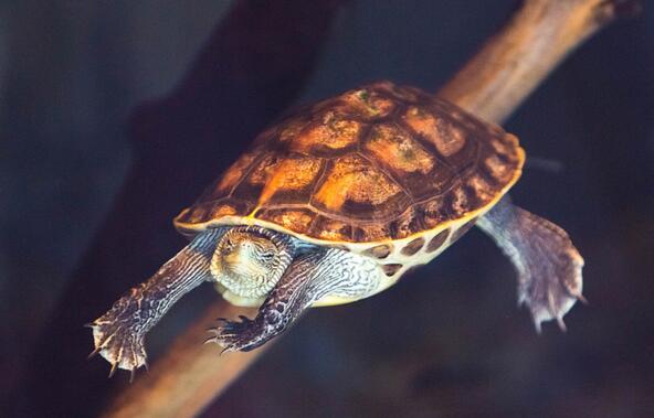 QQ截图20160812163918