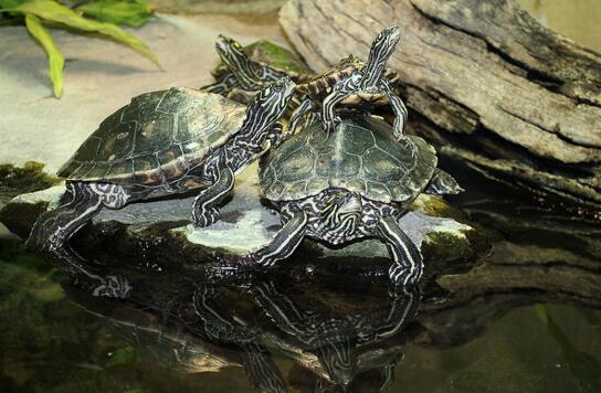 QQ截图20160812170508