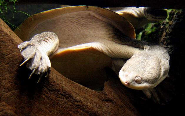 QQ截图20160812163242