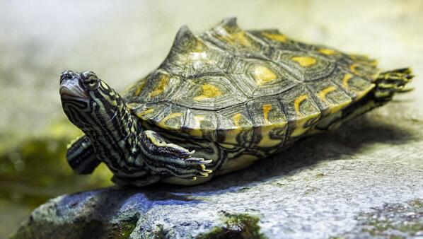 QQ截图20160812170427