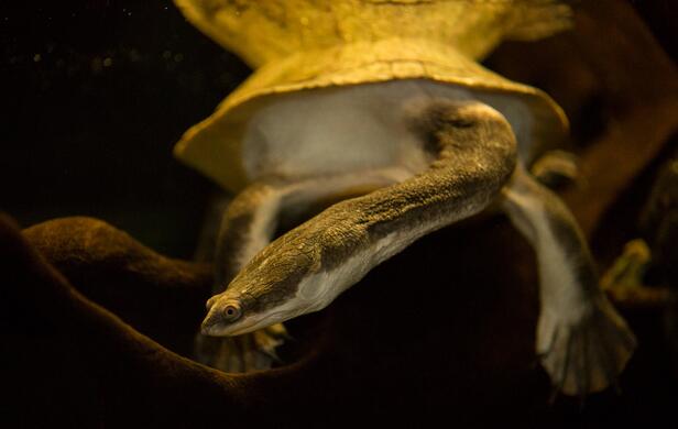 QQ截图20160812163247