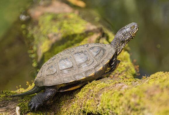 QQ截图20160815172731