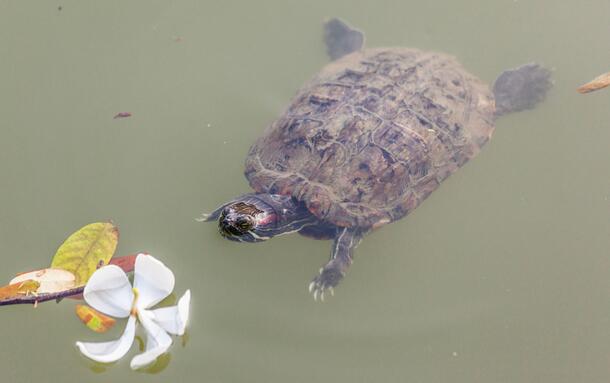 QQ截图20160815170545