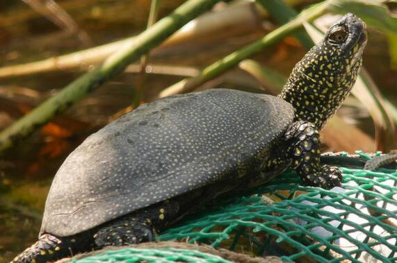 QQ截图20160815172333