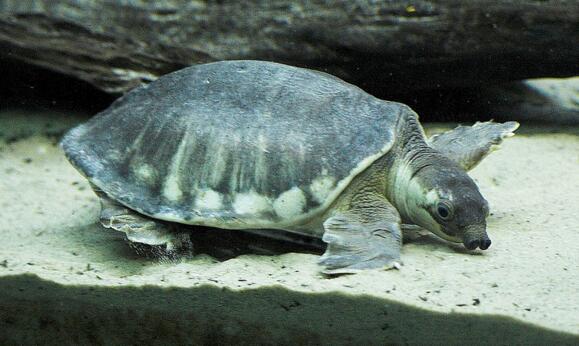 QQ截图20160815173743