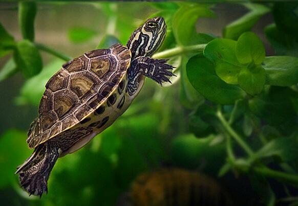 QQ截图20160815170553