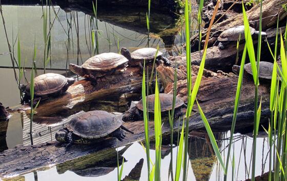 QQ截图20160815172307