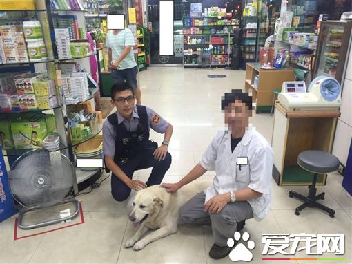 傻傻分不清 米克斯误认主人跳错机车