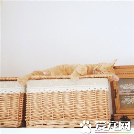 －45℃角，显瘦。