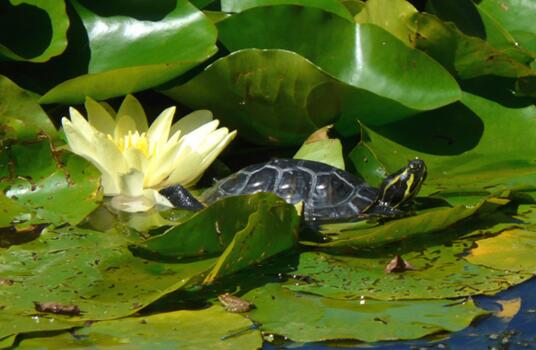 QQ截图20160815170536