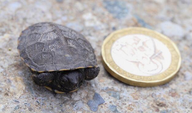 QQ截图20160815172320