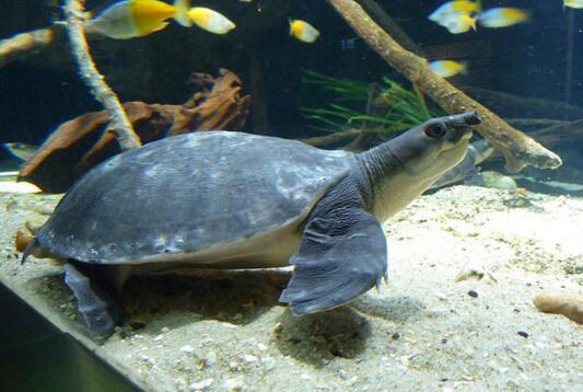 QQ截图20160815174119