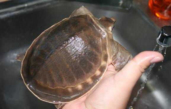 QQ截图20160815173735