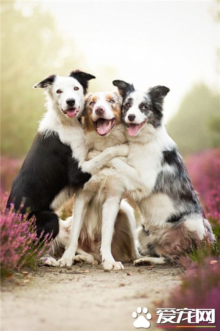 我们的友谊地久天长~