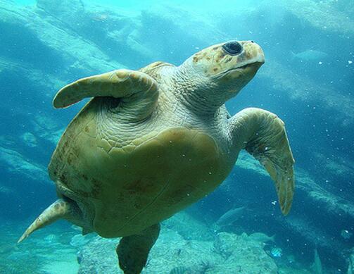 QQ截图20160816170336