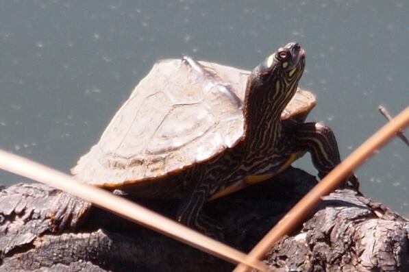 QQ截图20160816171857