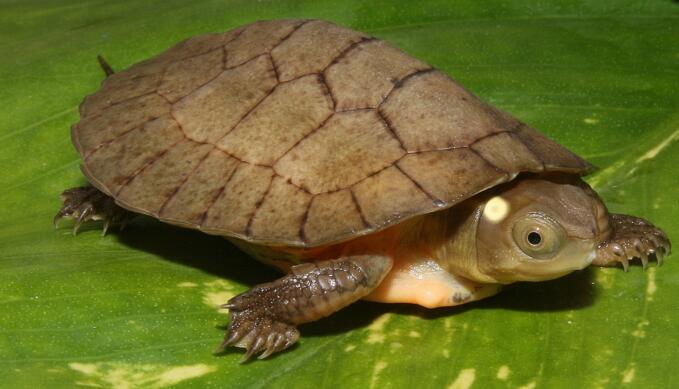 QQ截图20160816165803