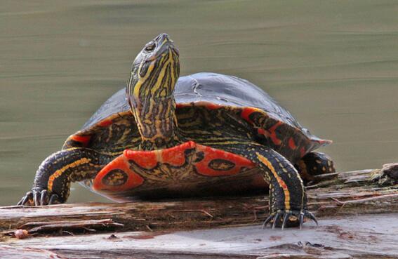 QQ截图20160816164129