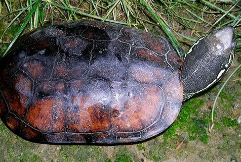 QQ截图20160816170301