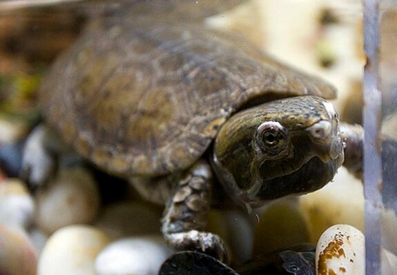 QQ截图20160816170353