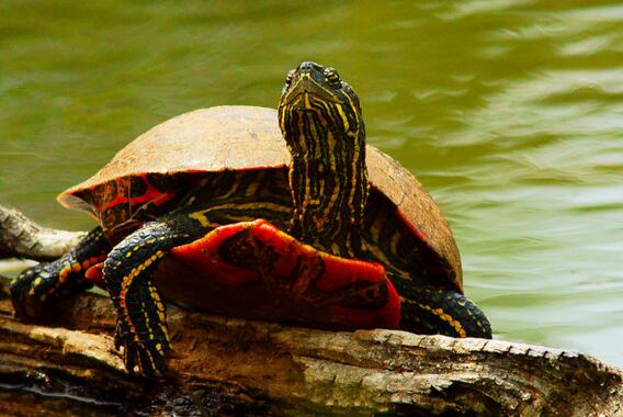 QQ截图20160816164552