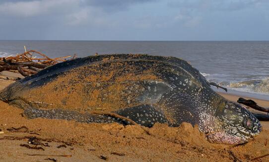 QQ截图20160816173729