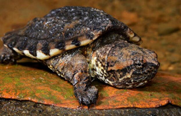 QQ截图20160816173412