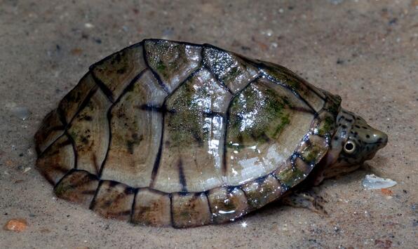 QQ截图20160816172927