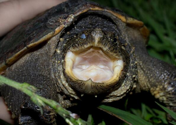 QQ截图20160816173407