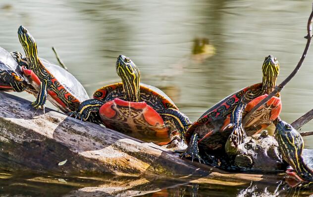 QQ截图20160816164140