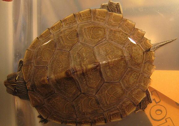 QQ截图20160816171447