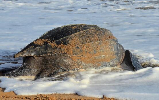 QQ截图20160816173737