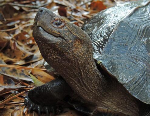 QQ截图20160816164850