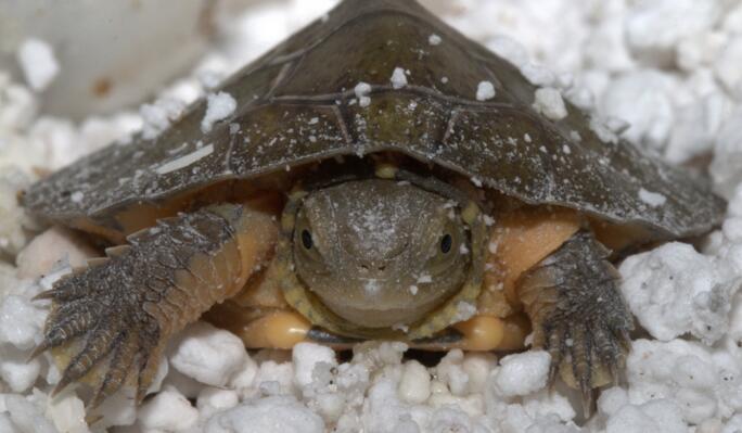 QQ截图20160816165757