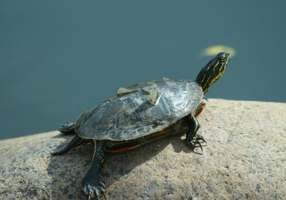 QQ截图20160816164153