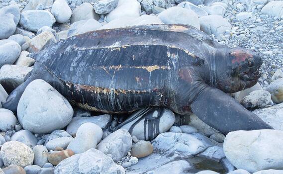 QQ截图20160816174056