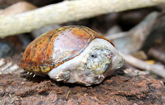 QQ截图20160816172752