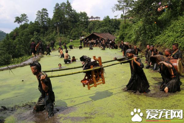 贵州剑河县办抬狗节民俗节日 表示对狗尊重