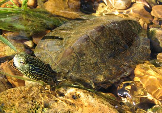 QQ截图20160816171506