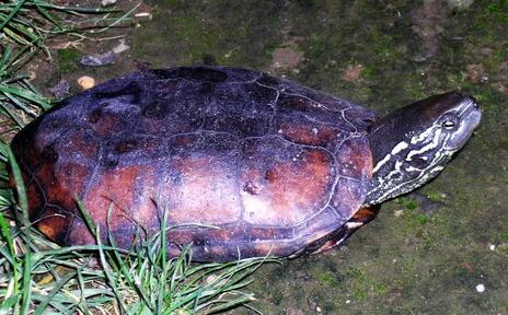 QQ截图20160816170256