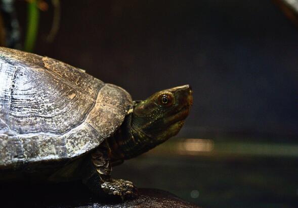 QQ截图20160816165955