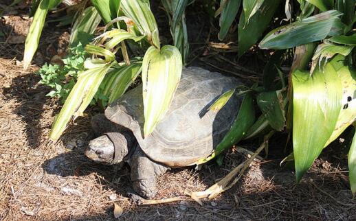 QQ截图20160816165247